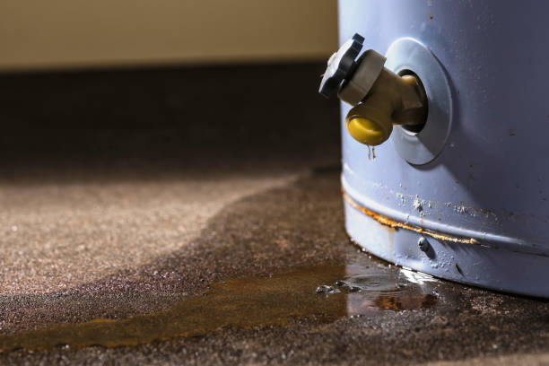 Best Sewage cleanup and water damage restoration  in Payette, ID