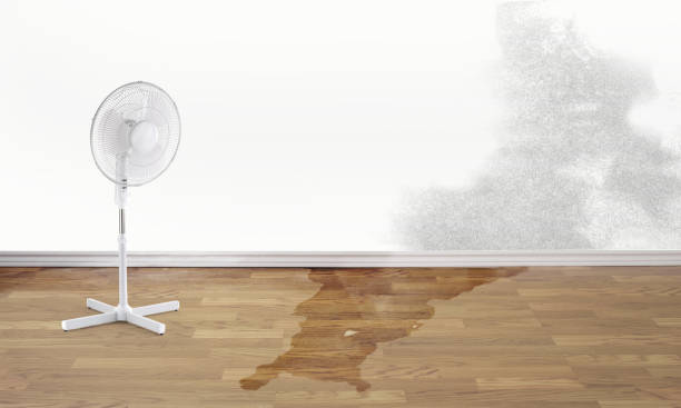 Best Flood restoration services  in Payette, ID