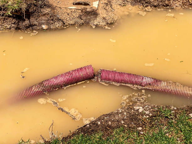 , ID Water damage restoration Company